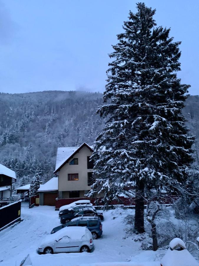 Holiday Home In Sinaia Extérieur photo