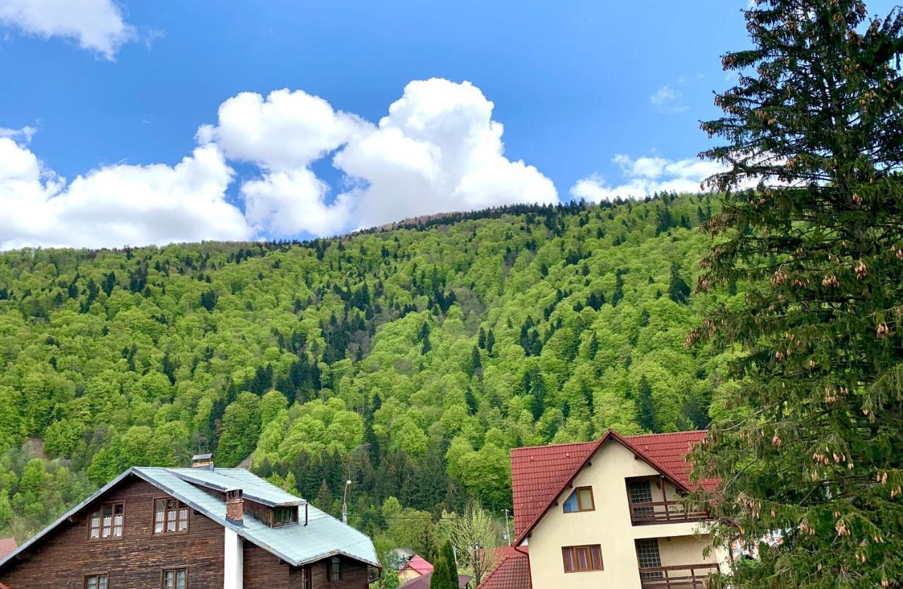 Holiday Home In Sinaia Extérieur photo