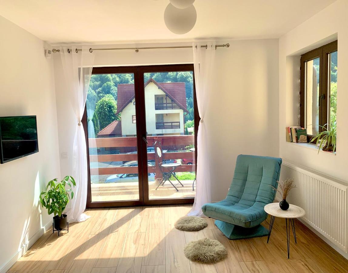 Holiday Home In Sinaia Extérieur photo